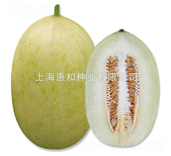 ����-��ϷN��-�ݺͷN�I(y��)