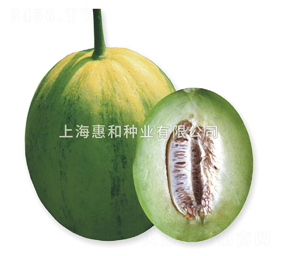 ˼��-��ϷN��-�ݺͷN�I(y��)