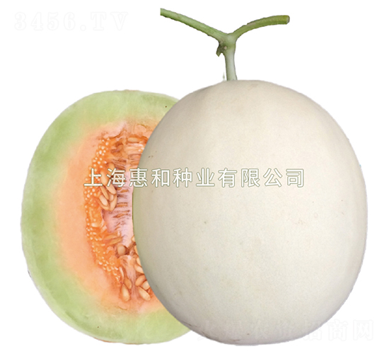 �f(w��n)��-��ϷN��-�ݺͷN�I(y��)