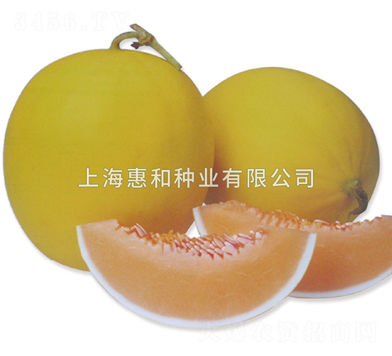 ����-��ϷN��-�ݺͷN�I(y��)