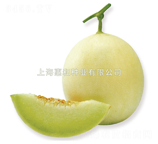 ����-��ϷN��-�ݺͷN�I(y��)