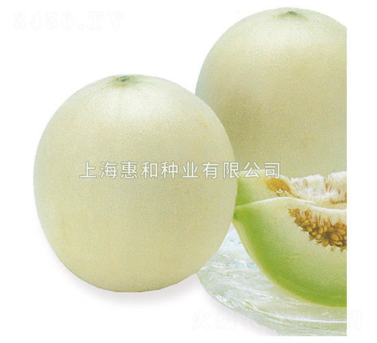 ������-��ϷN��-�ݺͷN�I(y��)