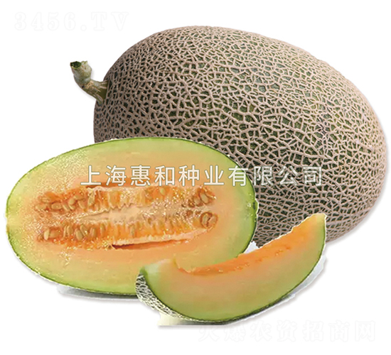 �A��0526-��ϷN��-�ݺͷN�I(y��)