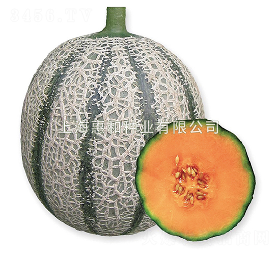 �f��-��ϷN��-�ݺͷN�I(y��)