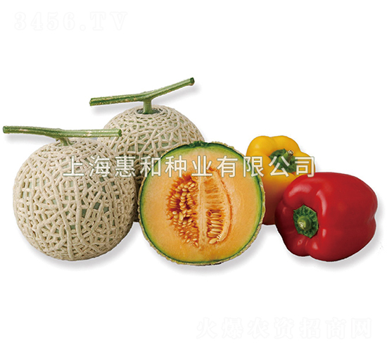 �����I-��ϷN��-�ݺͷN�I(y��)