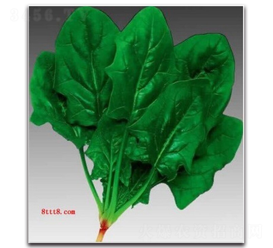 �(y��u)�A�~����-���˷N��-�(y��u)�r(n��ng)�I(y��)