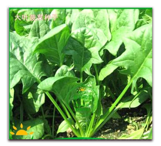 �(y��u)���~����-���˷N��-�(y��u)�r(n��ng)�I(y��)