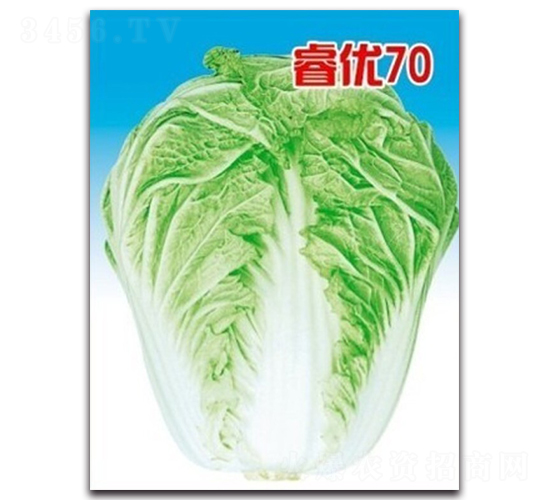 �(y��u)70-�ײ˷N��-�(y��u)�r(n��ng)�I(y��)