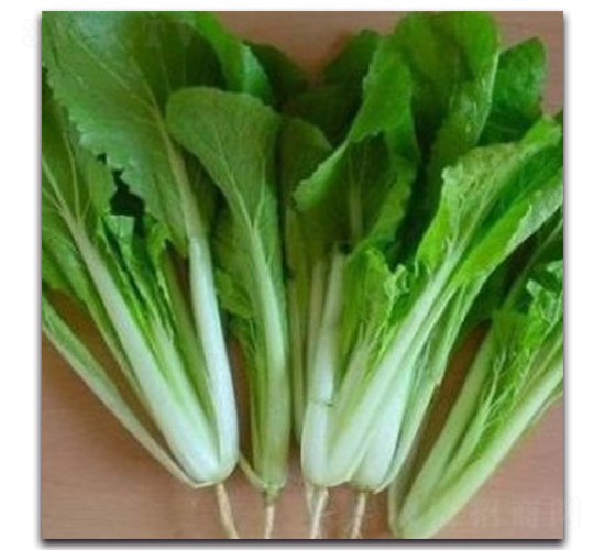 �(y��u)С�ײ�-�ײ˷N��-�(y��u)�r(n��ng)�I(y��)