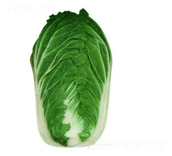 �(y��u)һ̖-�ײ˷N��-�(y��u)�r(n��ng)�I(y��)