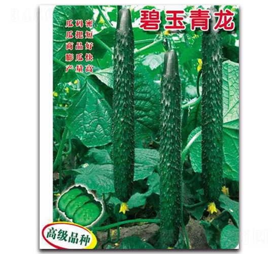 ��������-�S�ϷN��-�(y��u)�r(n��ng)�I(y��)