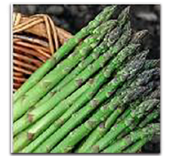 �����_-�J�S�N��-�(y��u)�r�I(y��)