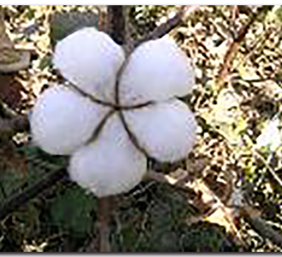 GK��10-�޻��N��-�(y��u)�r�I(y��)