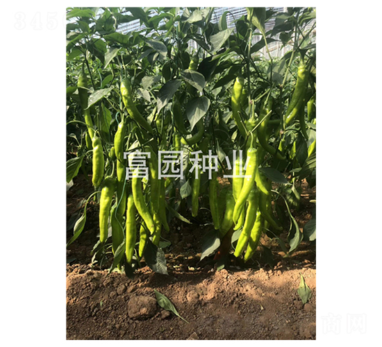 ��Ұ�L��-�����N��-���@�N�I(y��)