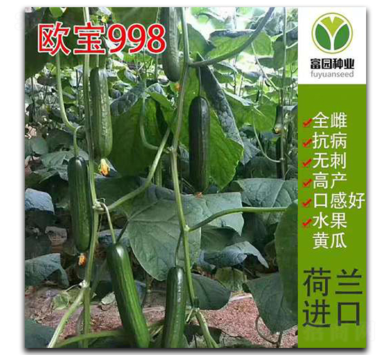 �W��998-�S�ϷN��-���@�N�I(y��)