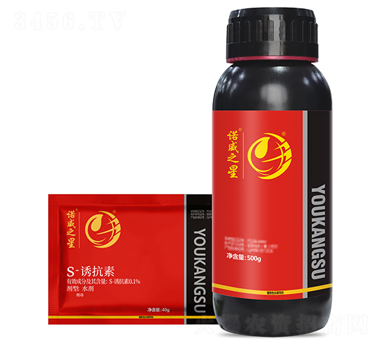 S-�T����-�Z��֮��-���r(n��ng)����