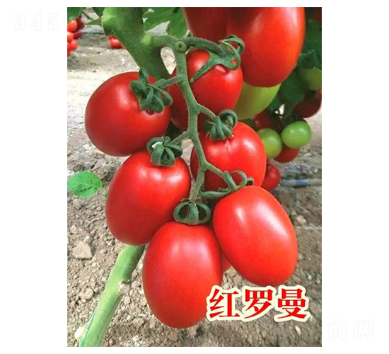 �t�_��-���ѷN��-���@�N�I(y��)