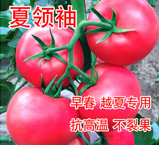 ���I��-���ѷN��-���@�N�I(y��)