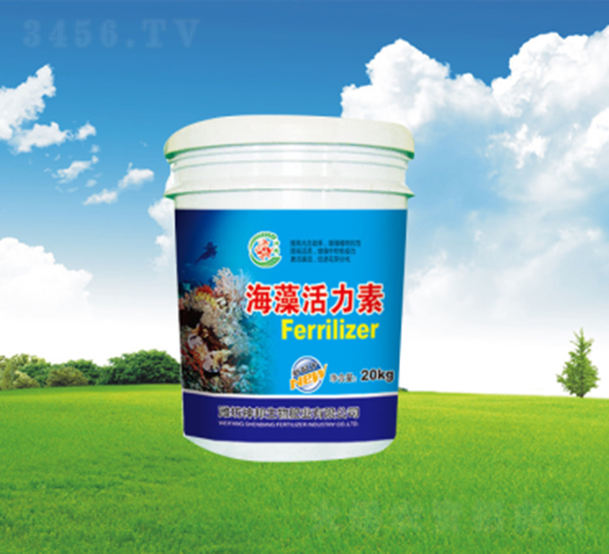 ��������؛_ʩ��-�������