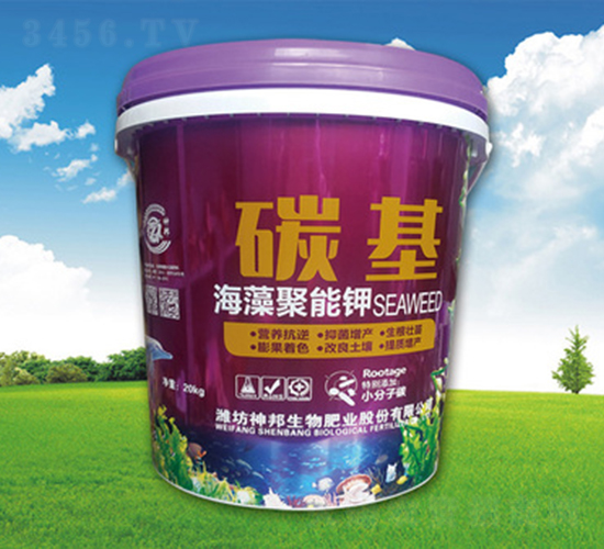 ��������-̼��-�������