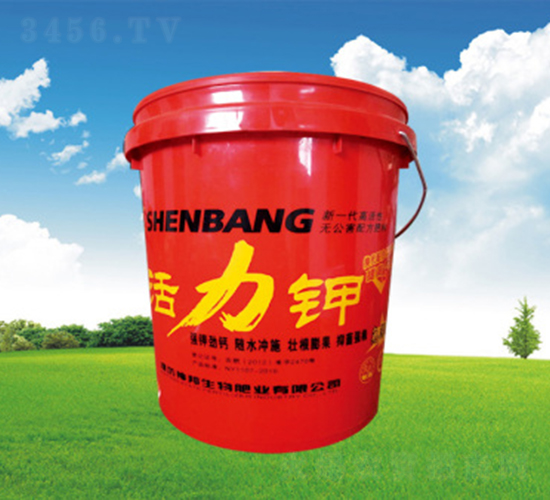 �����-�������