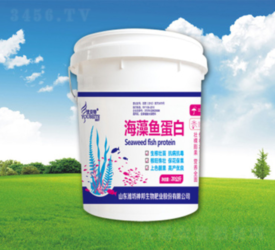 �����~����-�������