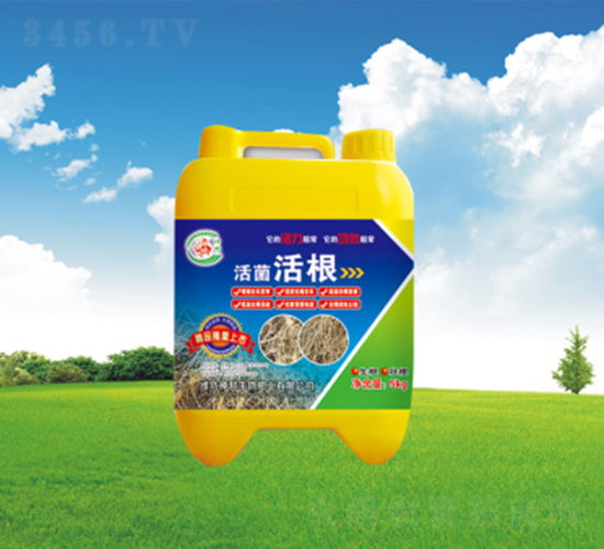 ������Ͱ��-�������