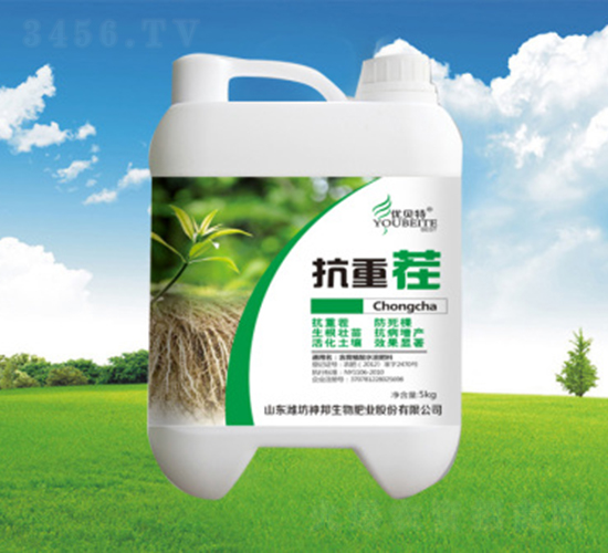 ���ز�Ͱ��-�������