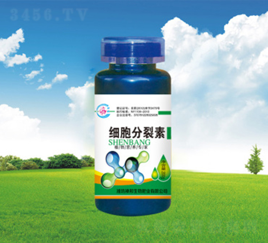 ��(x��)��������-�������