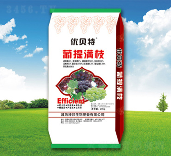 ����M֦�_ʩ��-�������