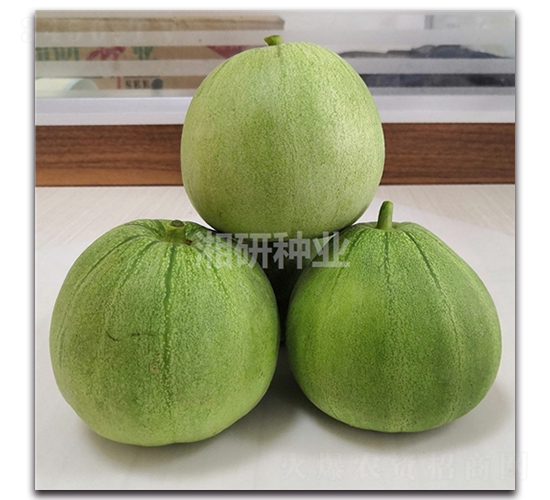 �������-��ϷN��-���зN�I(y��)