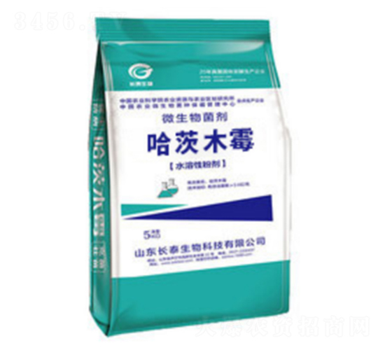 ΢�������-����ľù-�L̩����