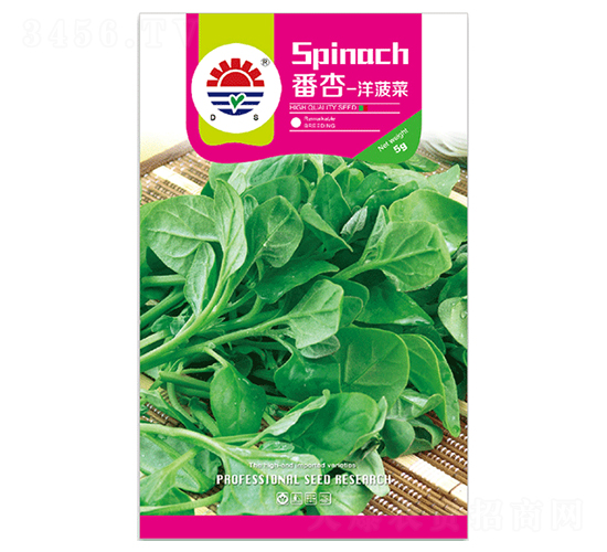 �|������-�ز˷N��-�|���N�I(y��)