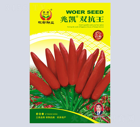 �ׄP�p����-�����N��-�����N�I(y��)