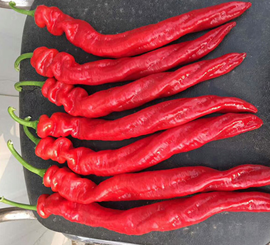 �tɼһ̖(h��o)F1-�����N��-Ψ�r(n��ng)�N�I(y��)