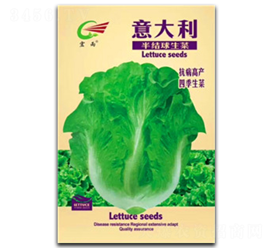 �������Y(ji��)������-���˷N��-����