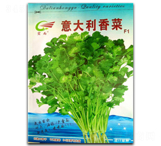 ��������-��˷N��-����