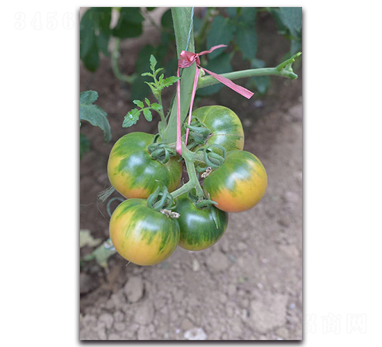 �F��201-���ѷN��-Ψ�r(n��ng)�N�I(y��)