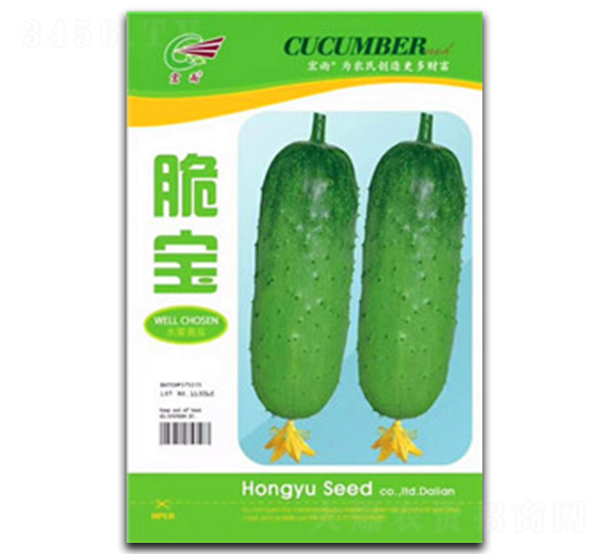 ����-�S�ϷN��-����