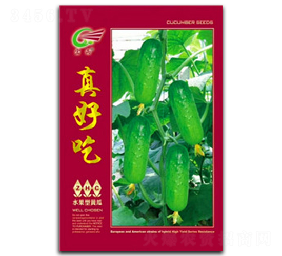 ��ó�-�S�ϷN��-����