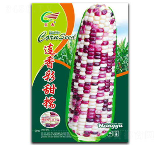 �B�����Ŵ-Ŵ���׷N��-����