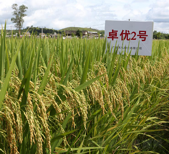 ׿?j��)?y��u)2̖(h��o)-ˮ���N��-���N�I(y��)