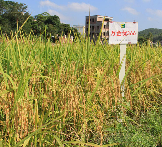 �f����(y��u)366-ˮ���N��-���N�I(y��)