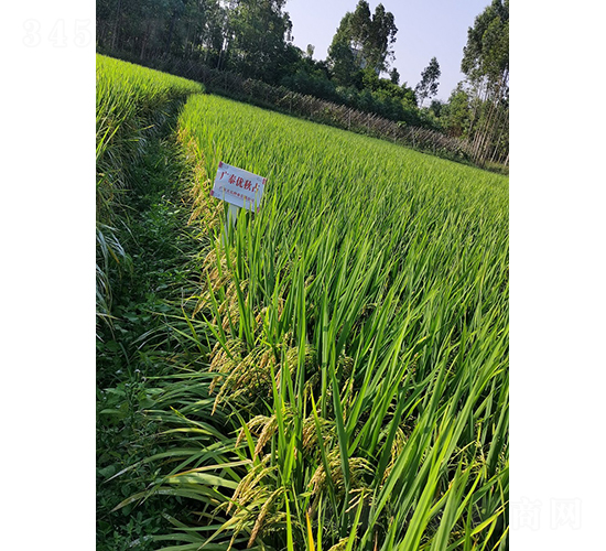 �V̩��(y��u)��ռ-ˮ���N��-���N�I(y��)