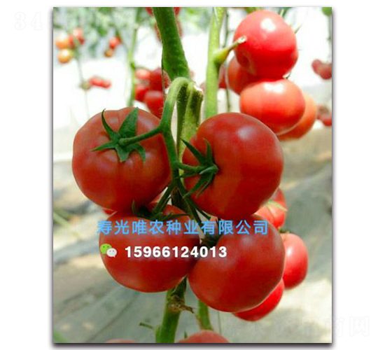 ����360F1-�۹����ѷN��-Ψ�r(n��ng)�N�I(y��)