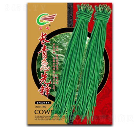 �L�༱���h���t����-�����N��-����