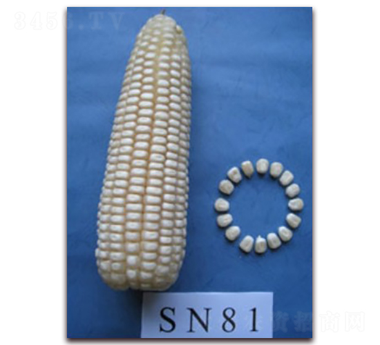 �K��Ŵ639̖-Ŵ���׷N��-�к̷N�I(y��)