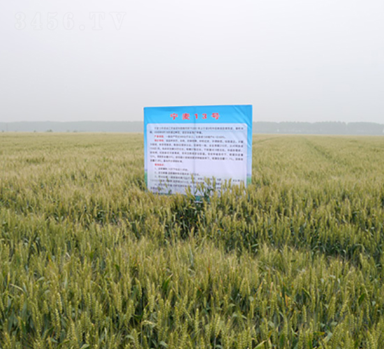 ����13̖-С���N��-�к̷N�I(y��)