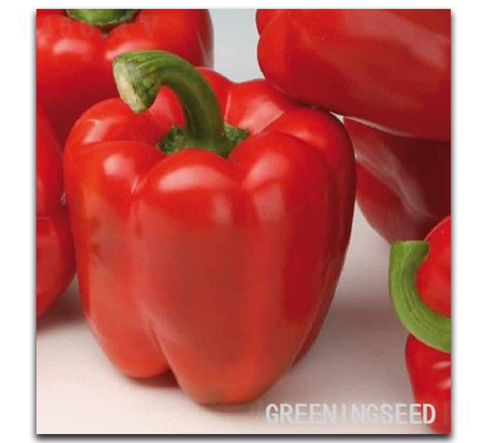 �|���t-�𽷷N��-����