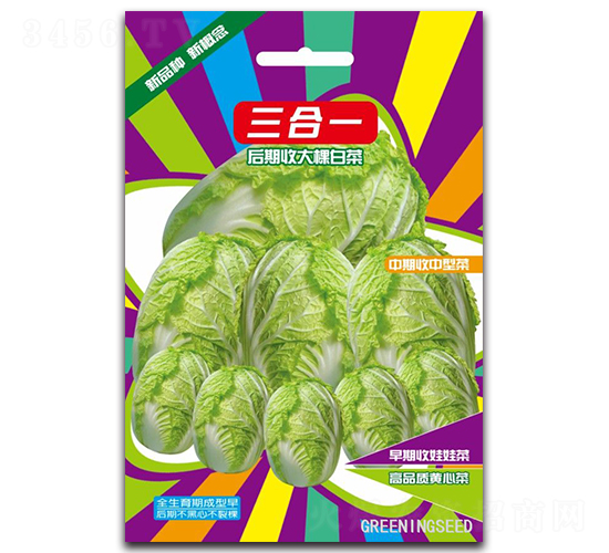 ����-�ײ˷N��-����